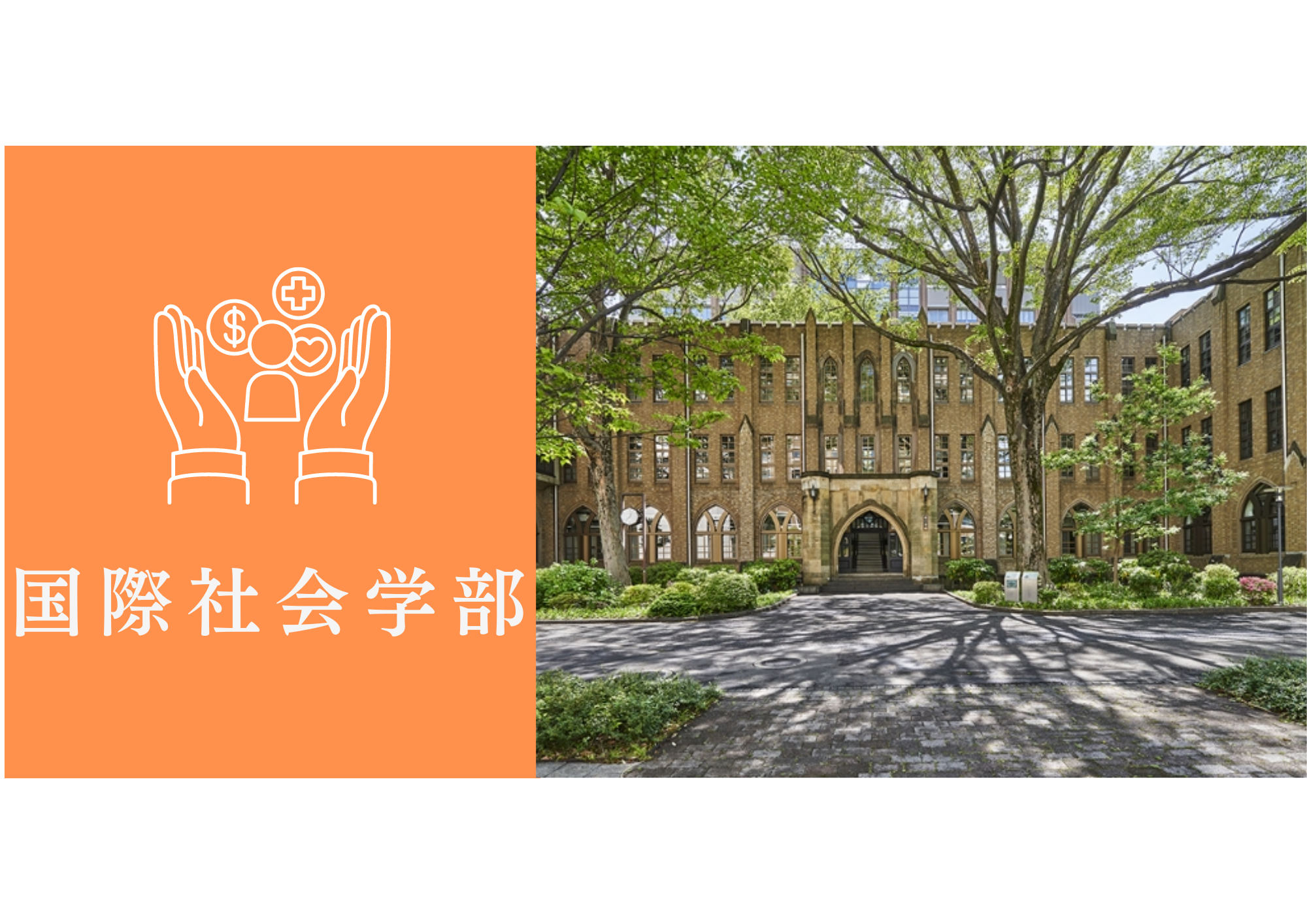 学習院大学国際社会学部に学校推薦型選抜（公募制）入試で合格するための最短ルートを大公開！