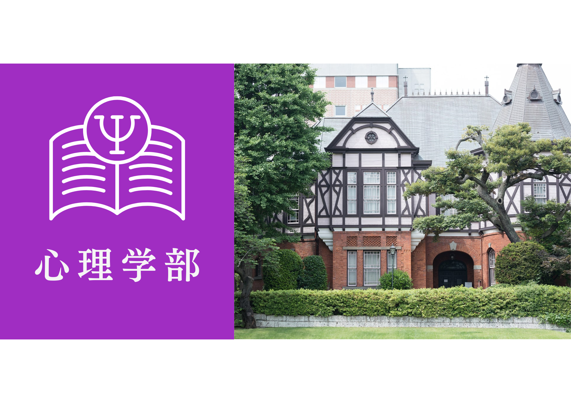 明治学院大学心理学部心理学科の総合型選抜(AO入試)である自己推薦AO入試とは？倍率はもちろん、志望理由書や小論文・面接の対策方法を大公開！