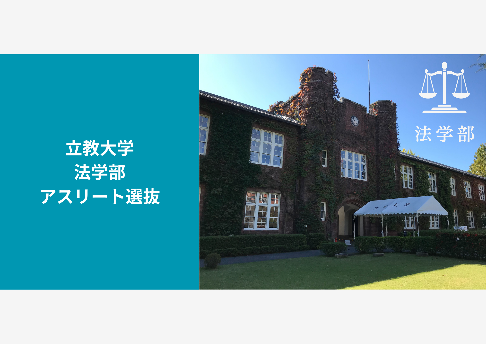 【スポーツ推薦】立教大学法学部のアスリート選抜について応募資格や倍率などの基本情報から対策法まで解説