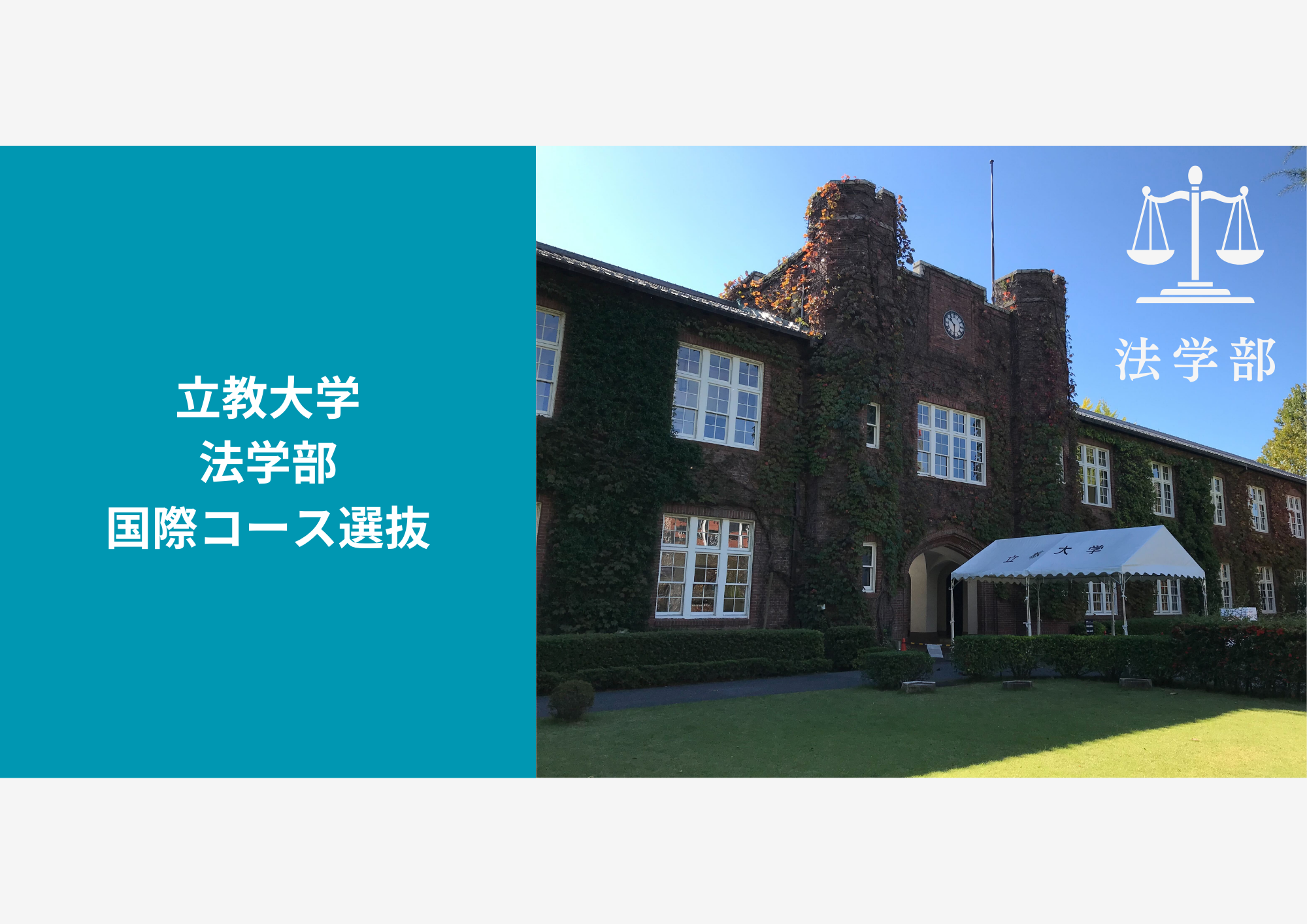 【総合型選抜】立教大学法学部の国際コース選抜について応募資格や倍率などの基本情報から対策法まで解説