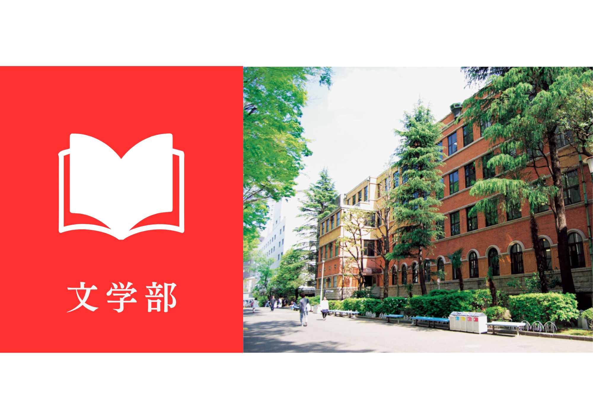 上智大学文学部の基礎情報